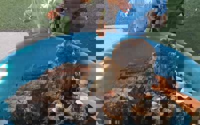 157394663_293217528899851_7287118590114567202_n.jpg