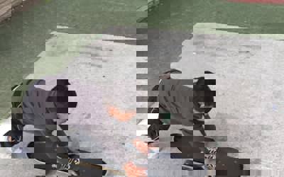 160954167_296975101857427_3437380716915078523_n.jpg