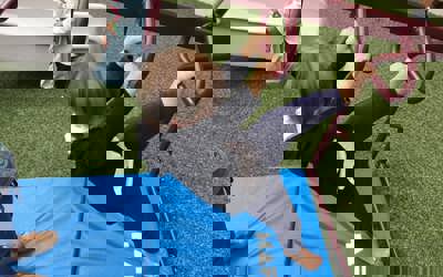 160994505_296975161857421_7117562900013102834_n.jpg