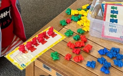 bear counting.jpg