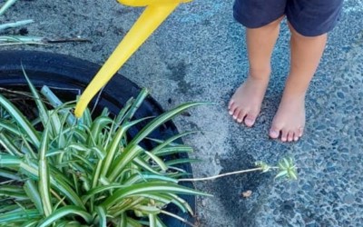 watering can.jpg
