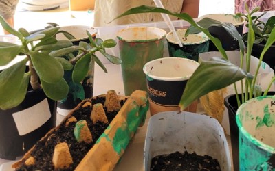 watering plants.jpg