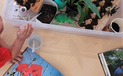 plants and poppy book.jpg