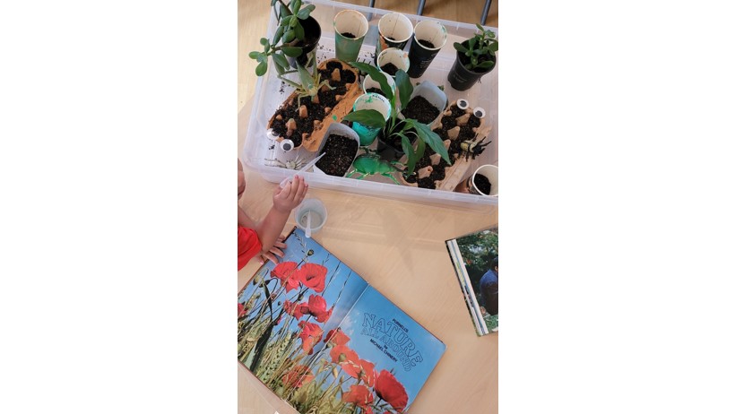 plants and poppy book.jpg