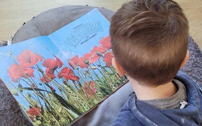 poppies.jpg