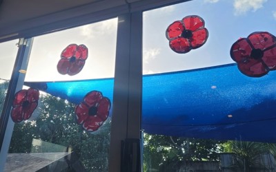 poppy window.jpg