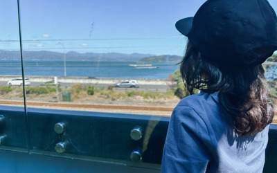 View from Active Explorers Kaiwharawhara preschool in Wellington