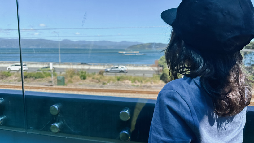 View from Active Explorers Kaiwharawhara preschool in Wellington