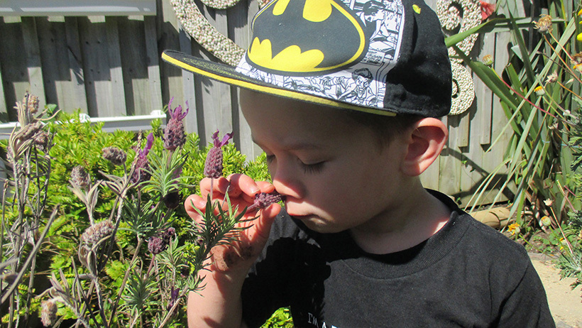boy smelling flower at preschool