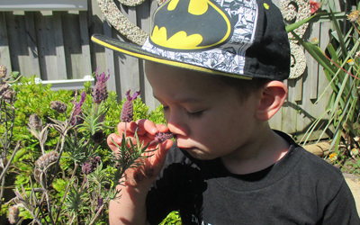 boy smelling flower at preschool
