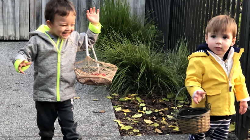 Toddler (1).jpg