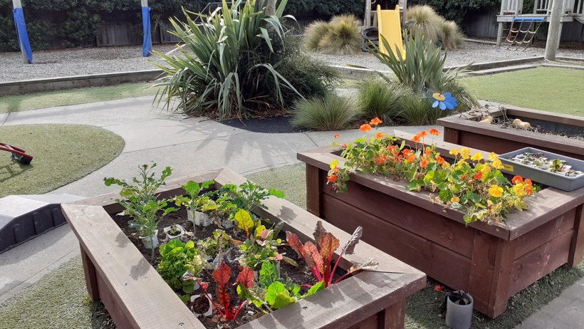 gardens at Active Explorers preschool in Rolleston