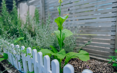 Garden at Active Explorers Camrose
